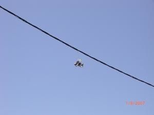 Photo-004.jpg